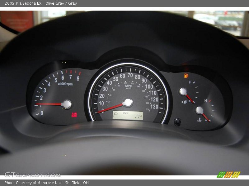 Olive Gray / Gray 2009 Kia Sedona EX