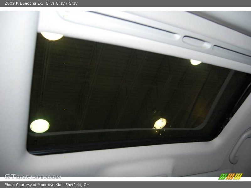 Olive Gray / Gray 2009 Kia Sedona EX