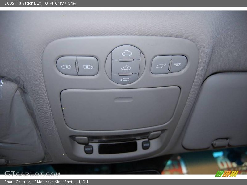Olive Gray / Gray 2009 Kia Sedona EX