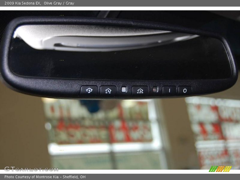 Olive Gray / Gray 2009 Kia Sedona EX