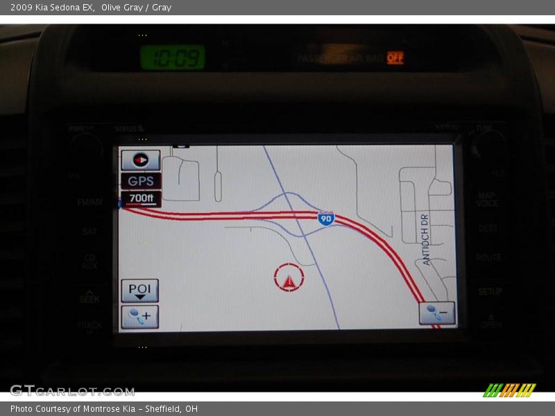 Olive Gray / Gray 2009 Kia Sedona EX