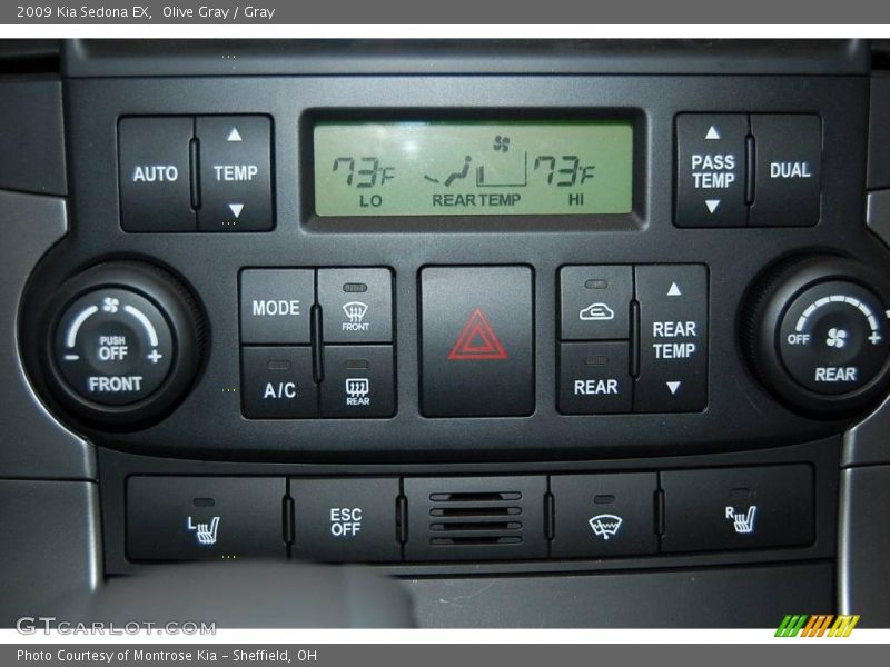 Olive Gray / Gray 2009 Kia Sedona EX