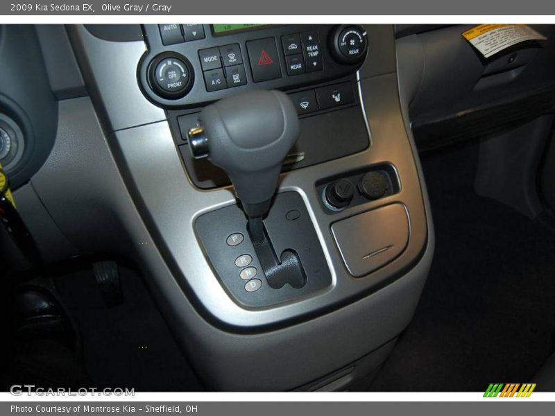 Olive Gray / Gray 2009 Kia Sedona EX