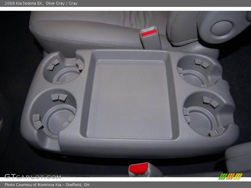 Olive Gray / Gray 2009 Kia Sedona EX