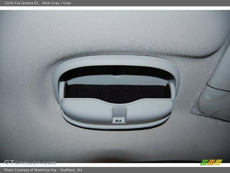 Olive Gray / Gray 2009 Kia Sedona EX