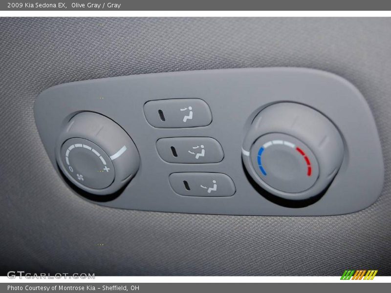 Olive Gray / Gray 2009 Kia Sedona EX