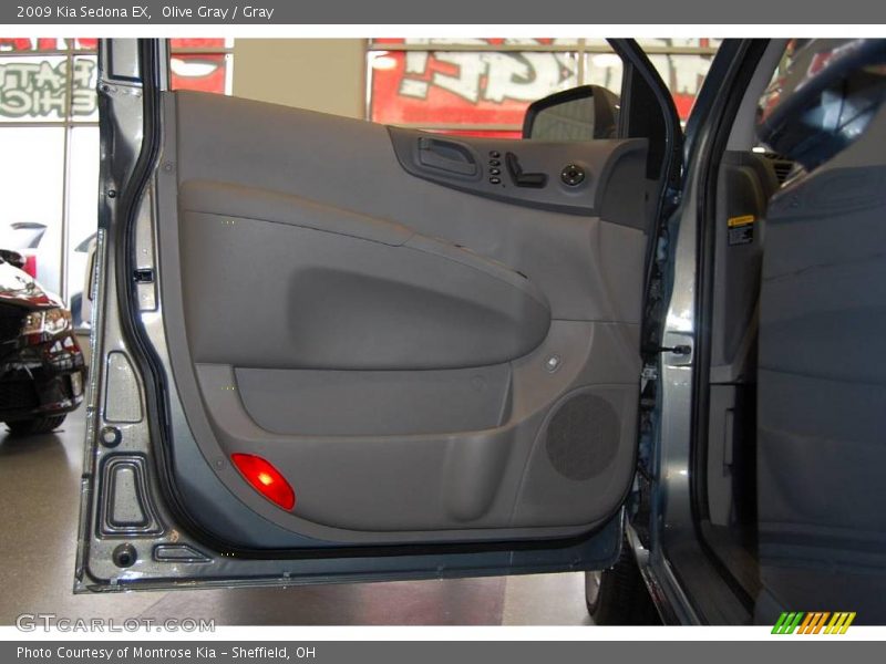 Olive Gray / Gray 2009 Kia Sedona EX