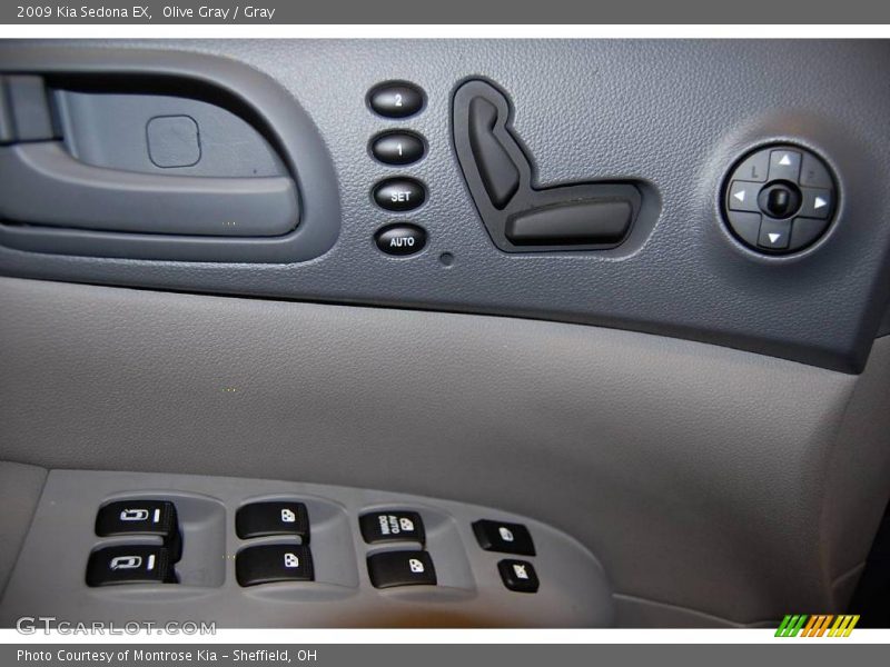 Olive Gray / Gray 2009 Kia Sedona EX