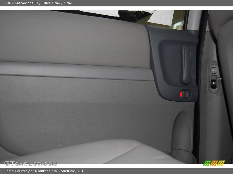 Olive Gray / Gray 2009 Kia Sedona EX