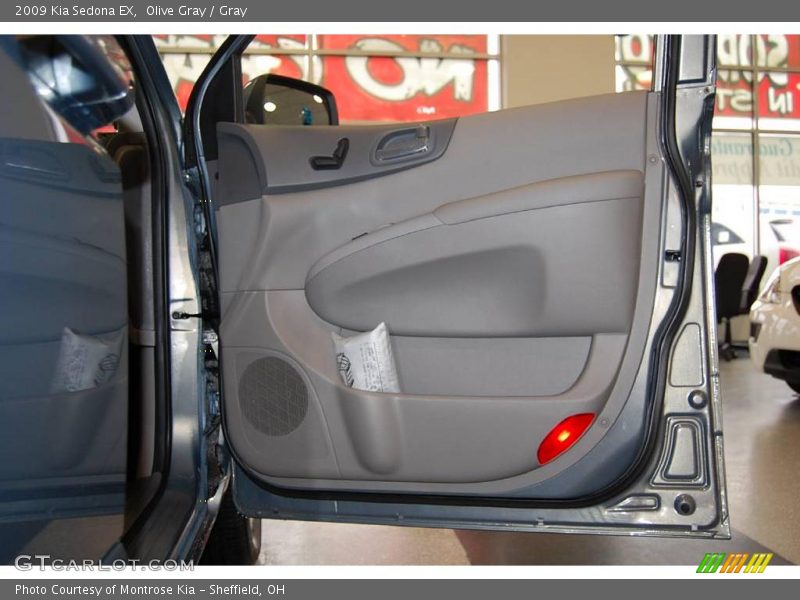 Olive Gray / Gray 2009 Kia Sedona EX