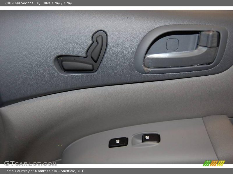 Olive Gray / Gray 2009 Kia Sedona EX