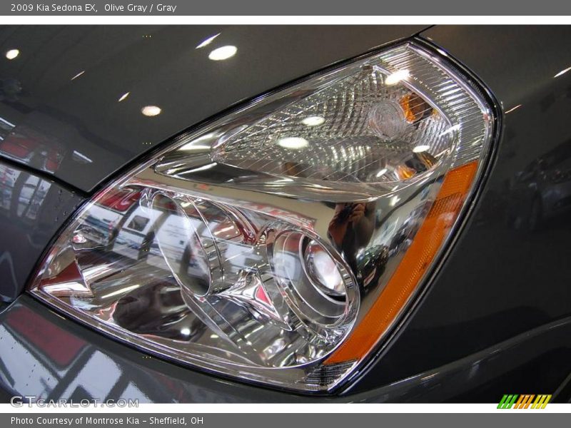 Olive Gray / Gray 2009 Kia Sedona EX