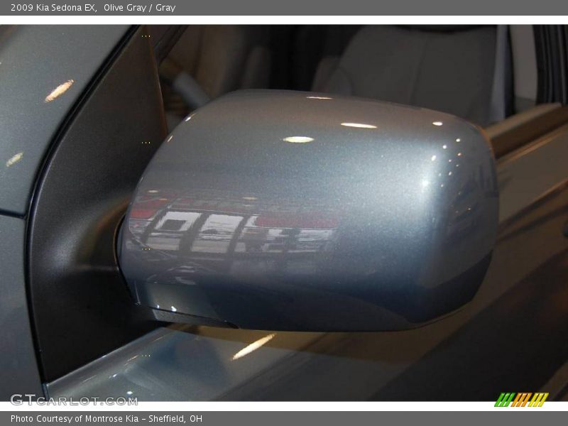 Olive Gray / Gray 2009 Kia Sedona EX