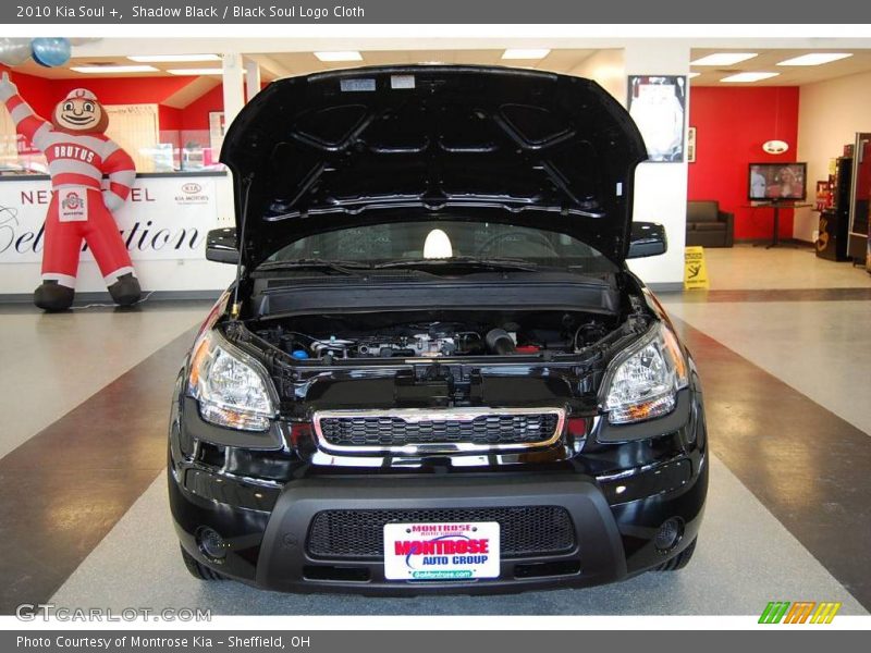 Shadow Black / Black Soul Logo Cloth 2010 Kia Soul +