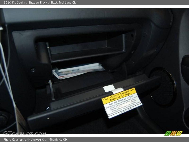 Shadow Black / Black Soul Logo Cloth 2010 Kia Soul +