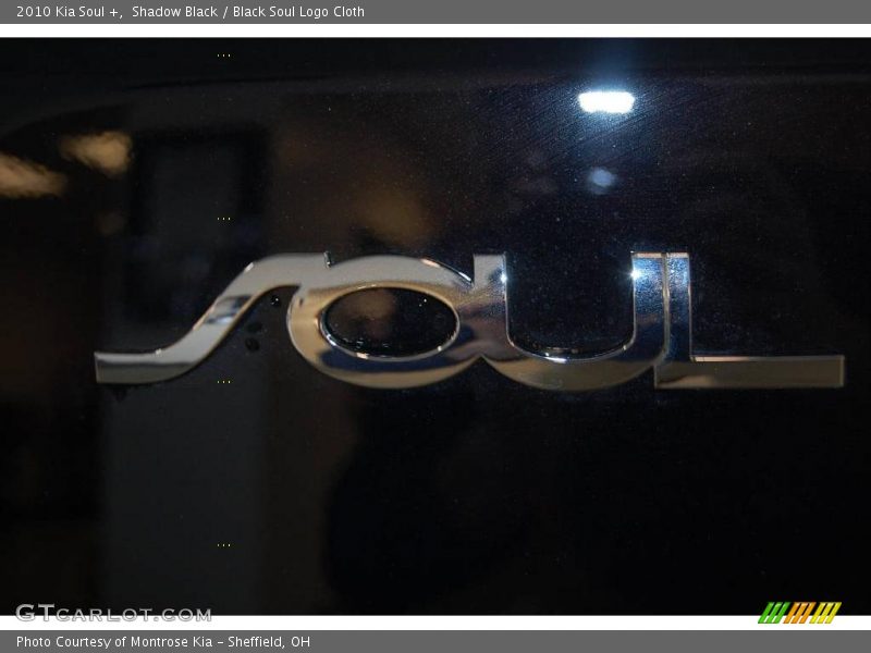 Shadow Black / Black Soul Logo Cloth 2010 Kia Soul +