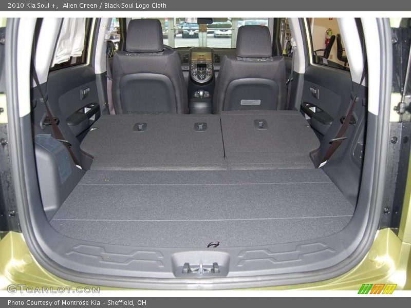 Alien Green / Black Soul Logo Cloth 2010 Kia Soul +