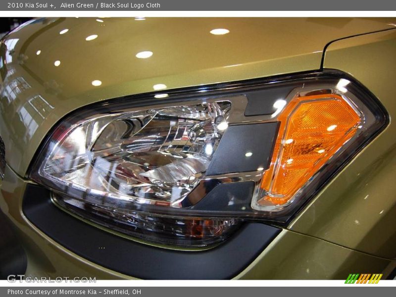 Alien Green / Black Soul Logo Cloth 2010 Kia Soul +