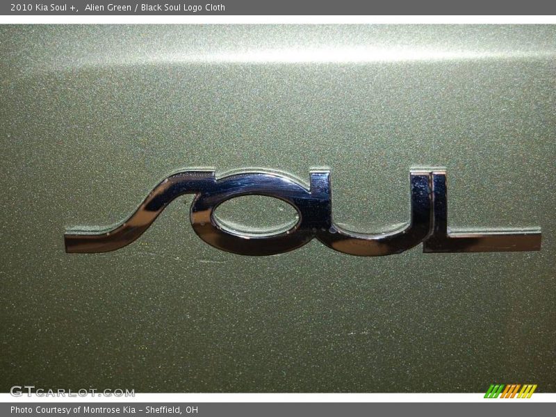 Alien Green / Black Soul Logo Cloth 2010 Kia Soul +