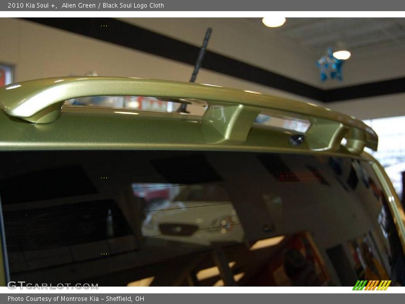 Alien Green / Black Soul Logo Cloth 2010 Kia Soul +