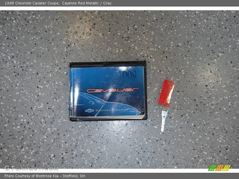 Cayenne Red Metallic / Gray 1998 Chevrolet Cavalier Coupe