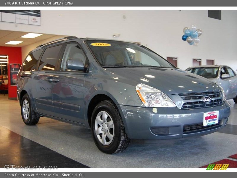 Olive Gray / Gray 2009 Kia Sedona LX