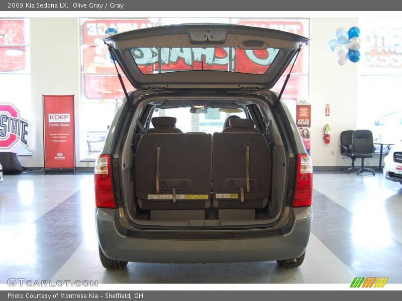 Olive Gray / Gray 2009 Kia Sedona LX