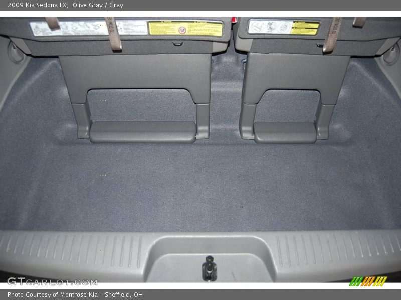 Olive Gray / Gray 2009 Kia Sedona LX