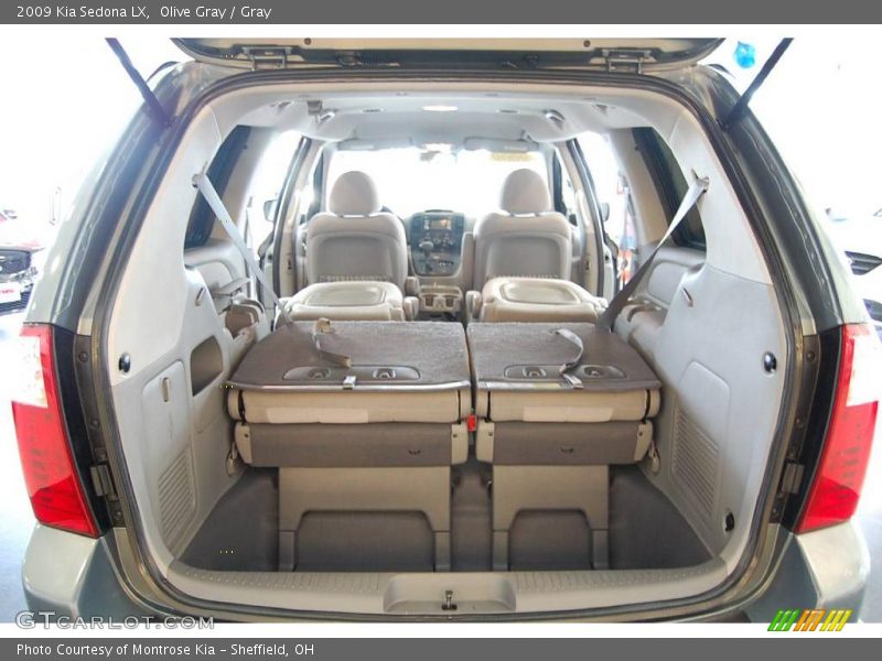 Olive Gray / Gray 2009 Kia Sedona LX