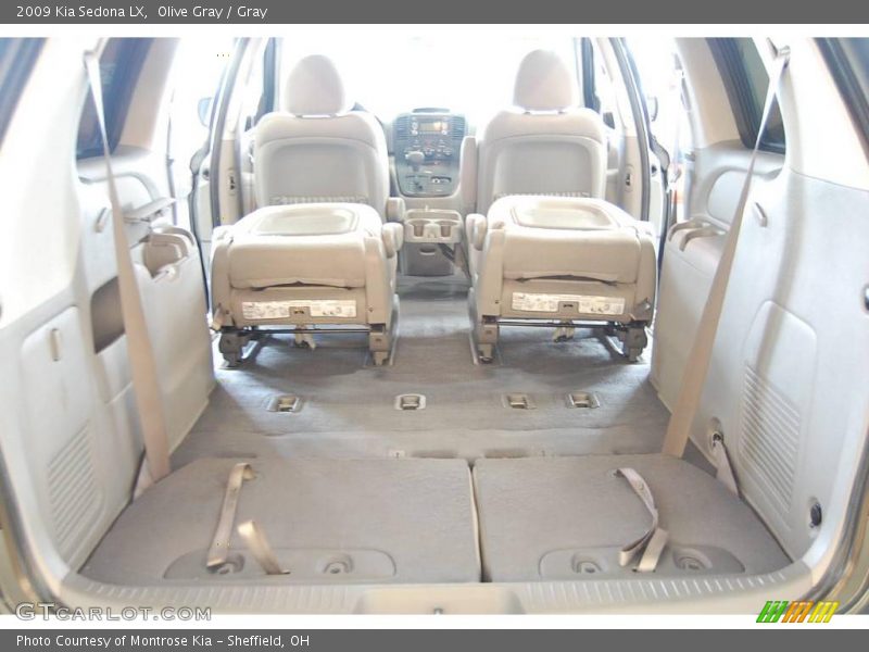 Olive Gray / Gray 2009 Kia Sedona LX
