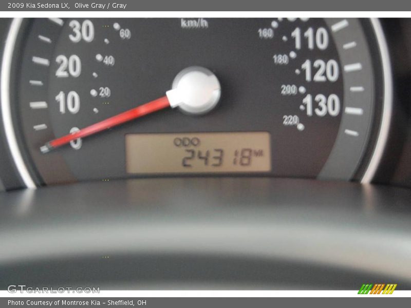 Olive Gray / Gray 2009 Kia Sedona LX