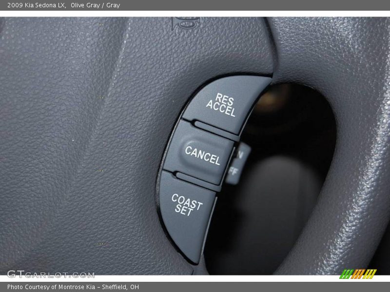 Olive Gray / Gray 2009 Kia Sedona LX
