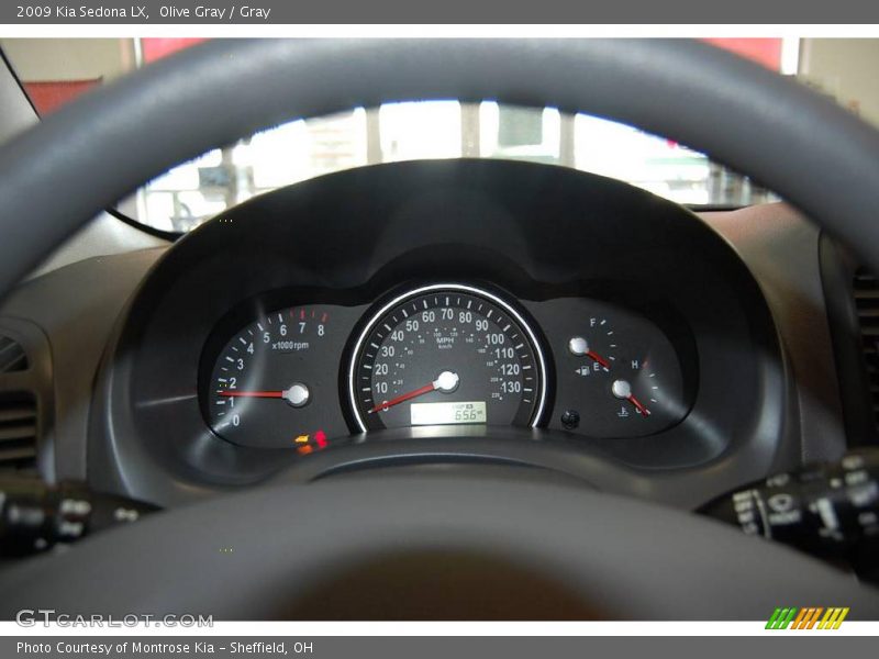 Olive Gray / Gray 2009 Kia Sedona LX