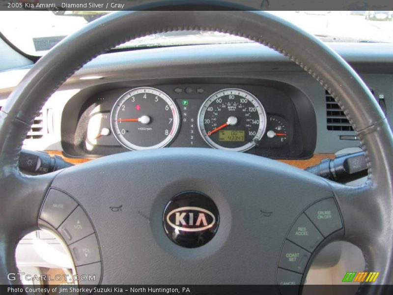 Diamond Silver / Gray 2005 Kia Amanti
