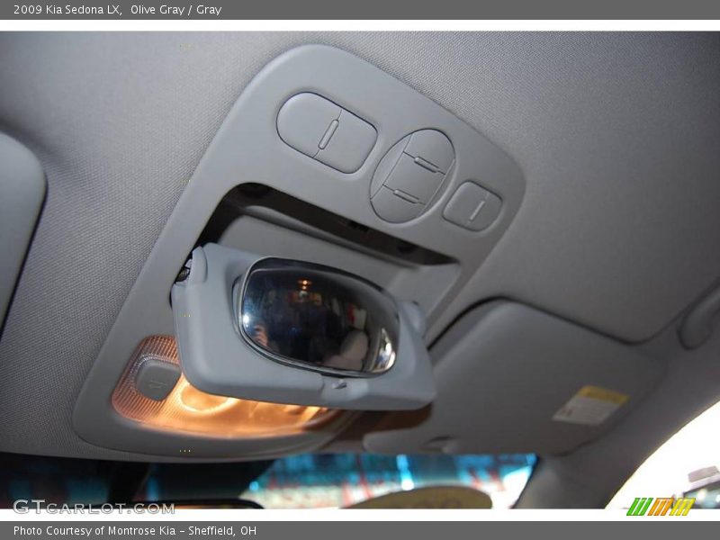 Olive Gray / Gray 2009 Kia Sedona LX