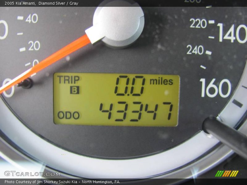 Diamond Silver / Gray 2005 Kia Amanti