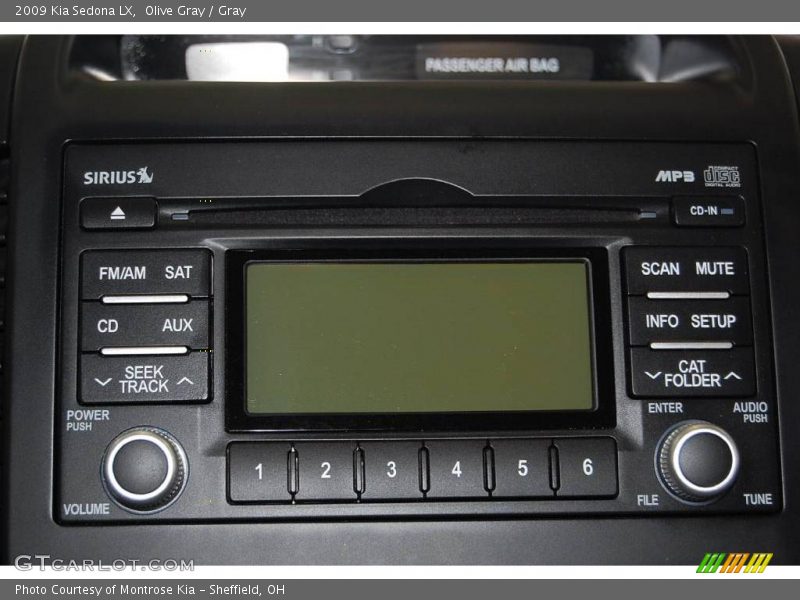 Olive Gray / Gray 2009 Kia Sedona LX