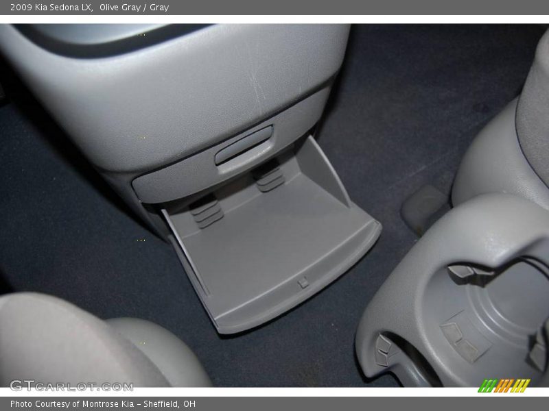 Olive Gray / Gray 2009 Kia Sedona LX