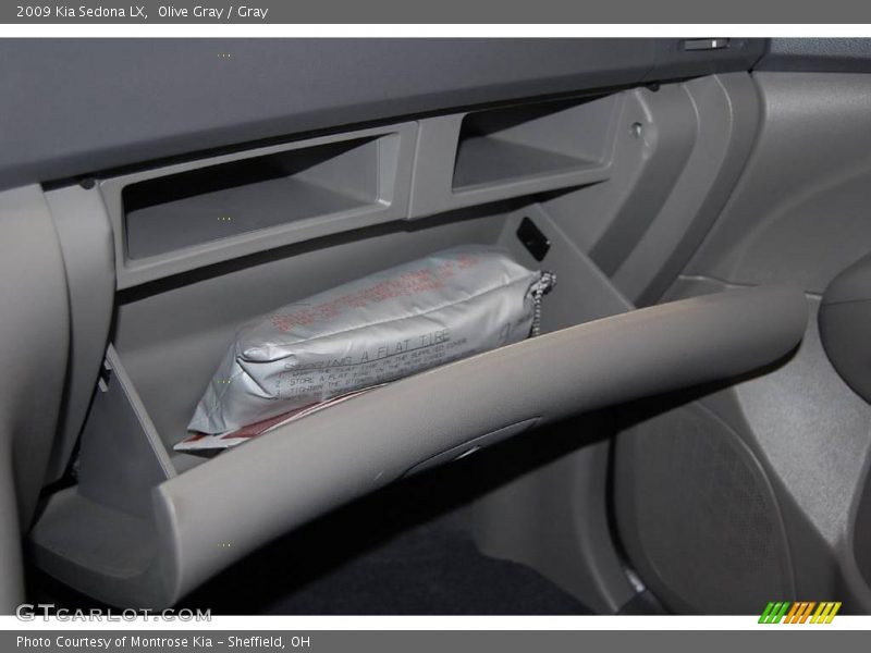 Olive Gray / Gray 2009 Kia Sedona LX
