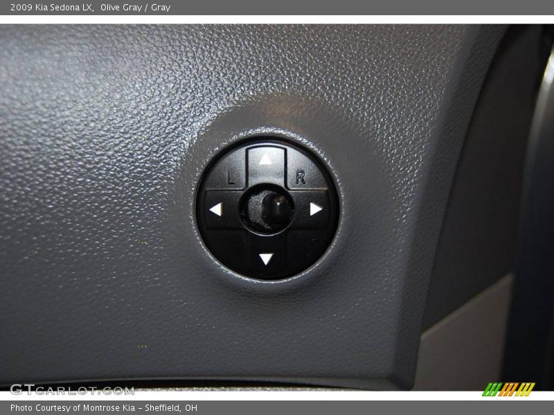 Olive Gray / Gray 2009 Kia Sedona LX