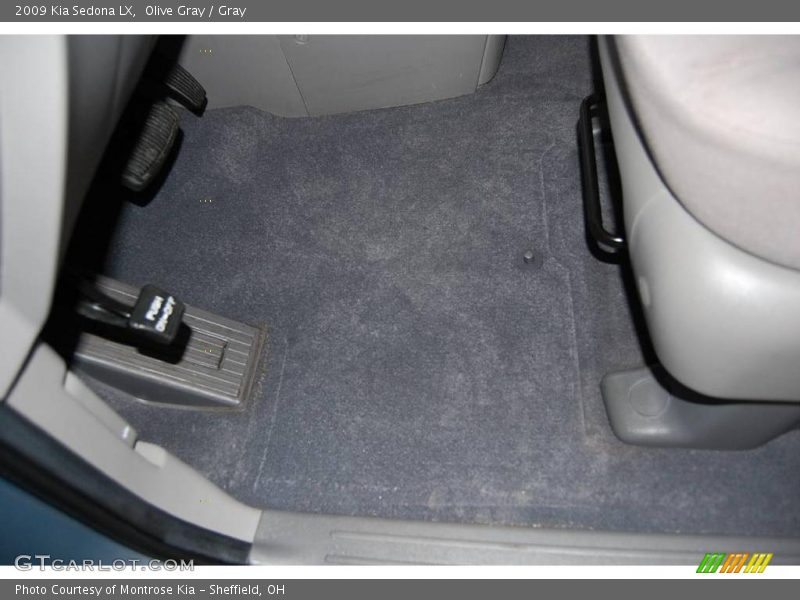 Olive Gray / Gray 2009 Kia Sedona LX