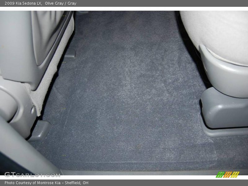 Olive Gray / Gray 2009 Kia Sedona LX