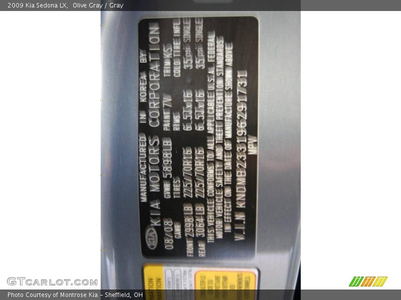 Olive Gray / Gray 2009 Kia Sedona LX