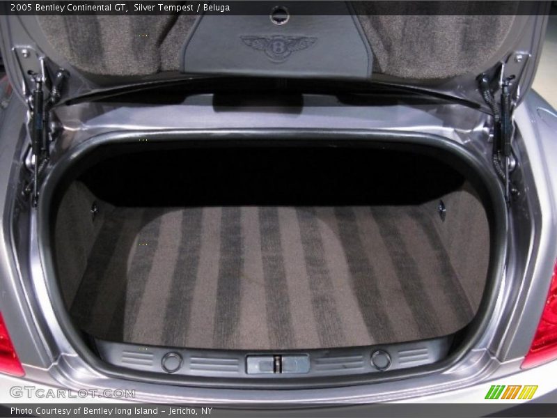 Silver Tempest / Beluga 2005 Bentley Continental GT
