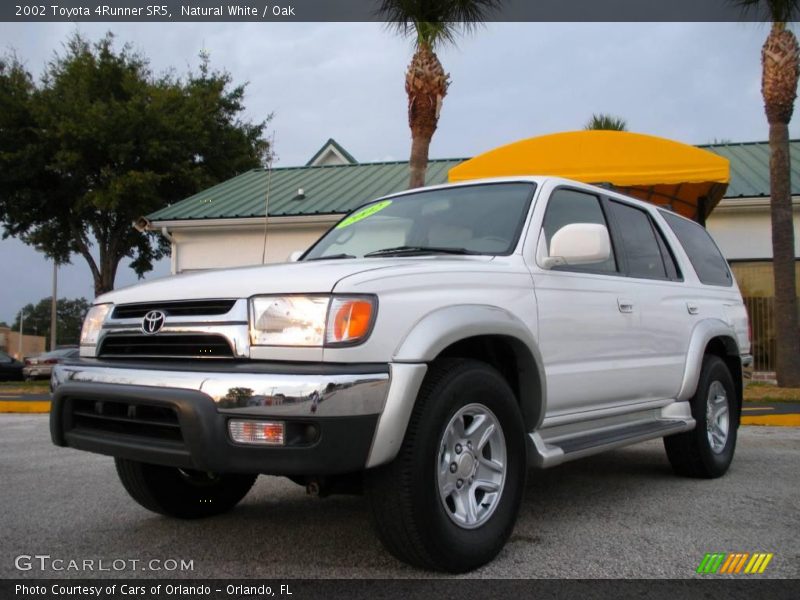 Natural White / Oak 2002 Toyota 4Runner SR5