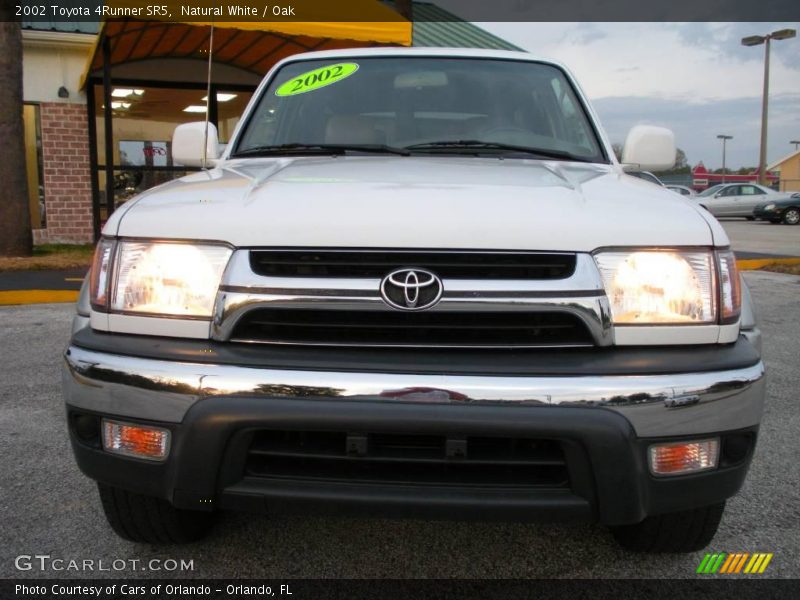 Natural White / Oak 2002 Toyota 4Runner SR5