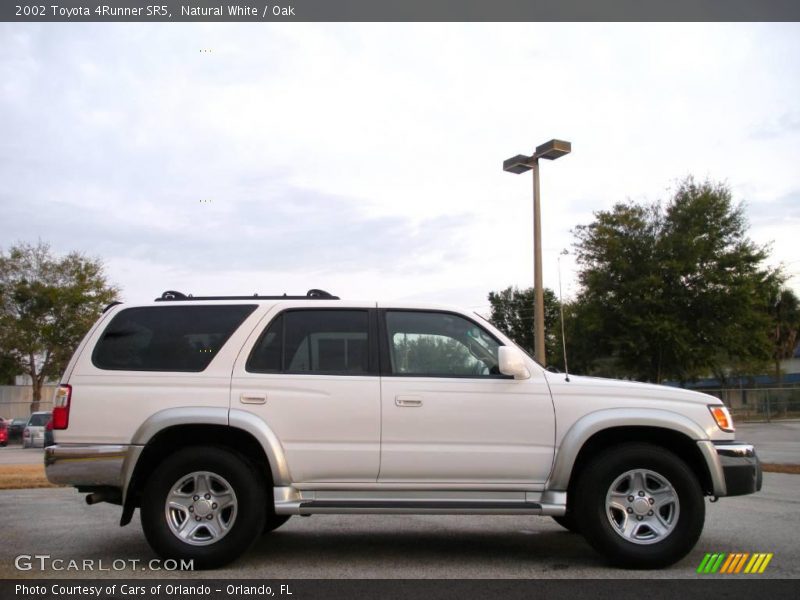 Natural White / Oak 2002 Toyota 4Runner SR5