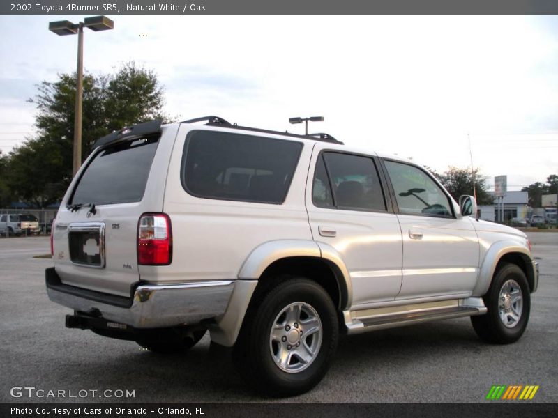 Natural White / Oak 2002 Toyota 4Runner SR5