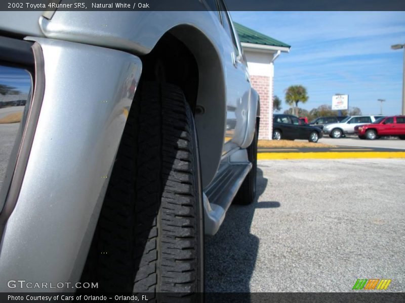 Natural White / Oak 2002 Toyota 4Runner SR5