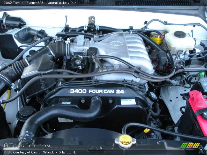 Natural White / Oak 2002 Toyota 4Runner SR5